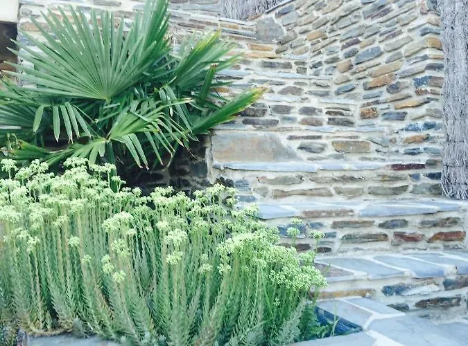 Es Volca 카다케스